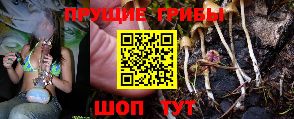 Галлюциногенные грибы мицелий Анжеро-Судженск